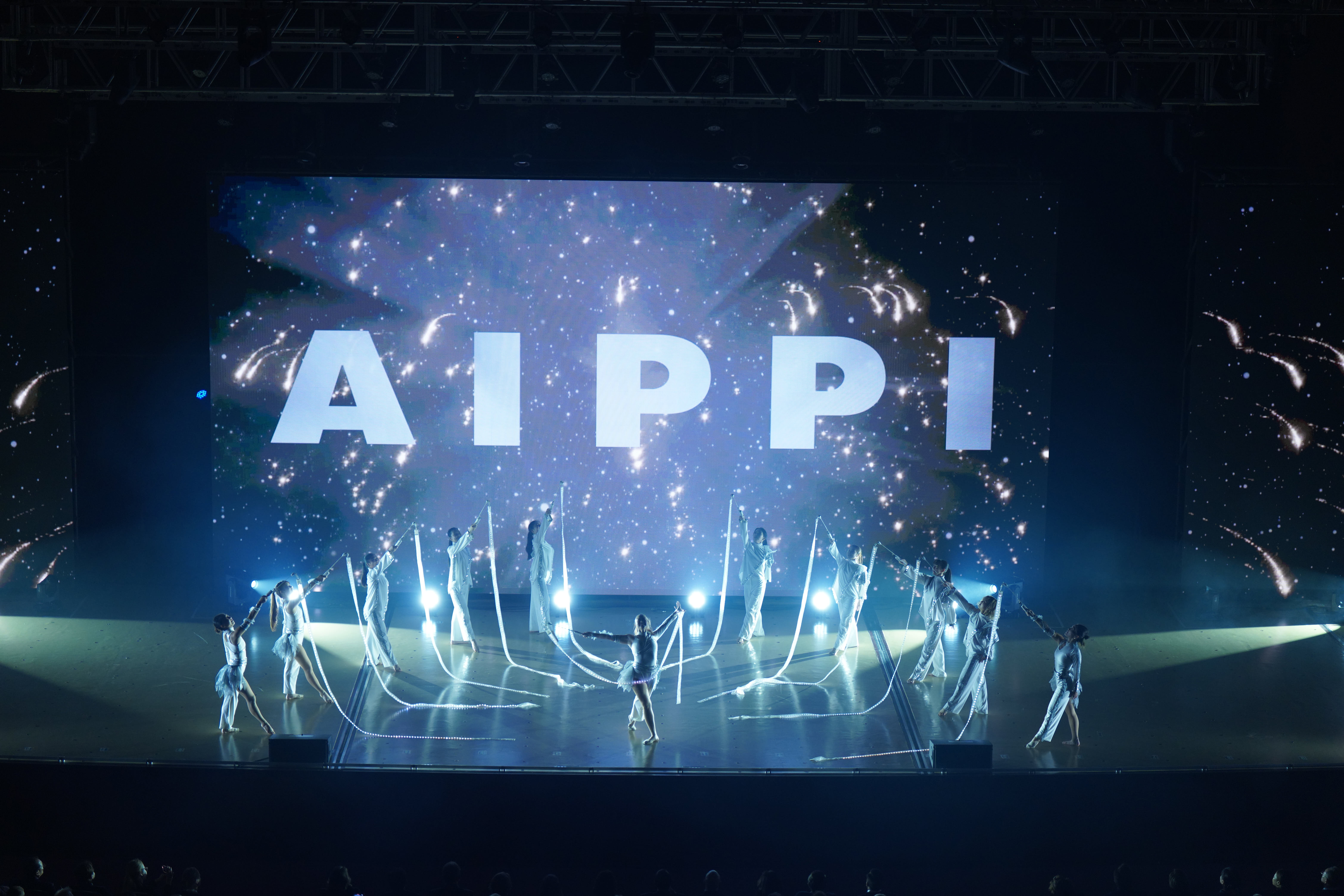 树贤团队参加2025年世界知识产权大会AIPPI